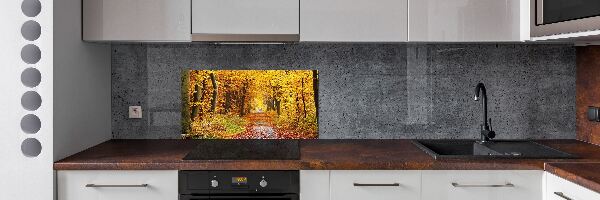 Panel de pared de cocina Bosque en otoño