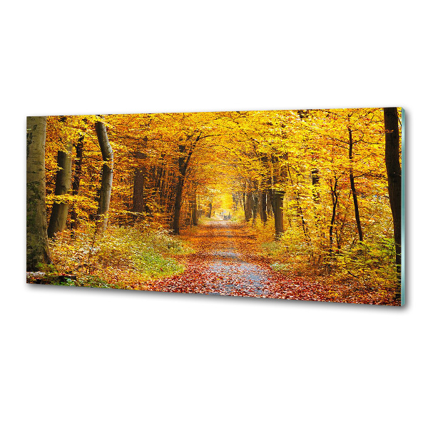 Panel de pared de cocina Bosque en otoño