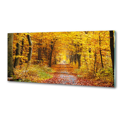 Panel de pared de cocina Bosque en otoño