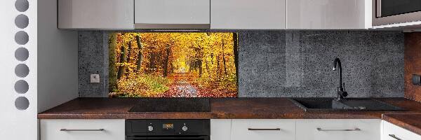Panel de pared de cocina Bosque en otoño