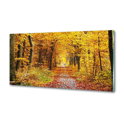 Panel de pared de cocina Bosque en otoño