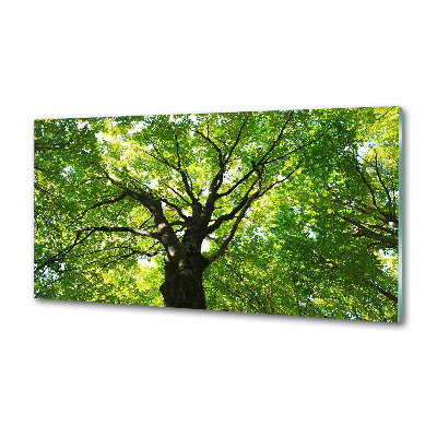 Panel antisalpicaduras Bosque verde