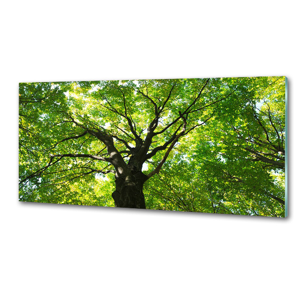 Panel antisalpicaduras Bosque verde