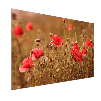 Panel para cocina Tríptico de amapolas