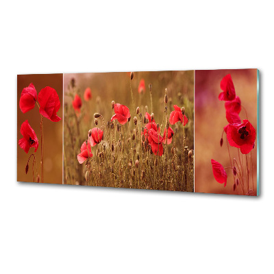 Panel para cocina Tríptico de amapolas