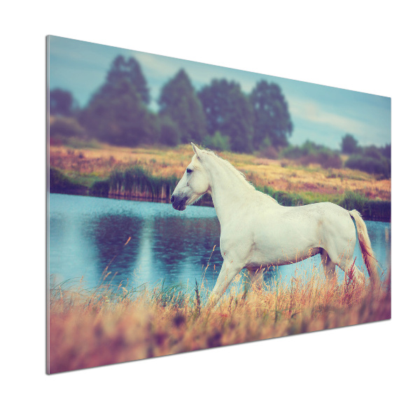 Salpicadero para cocina Lago del Caballo Blanco