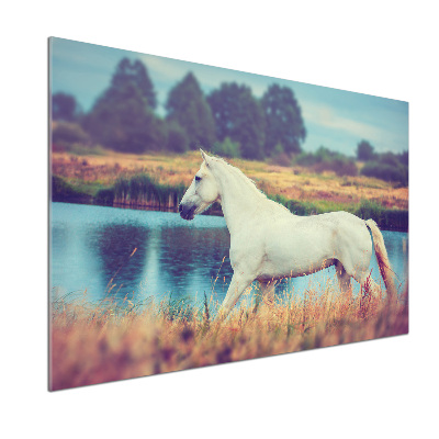 Salpicadero para cocina Lago del Caballo Blanco