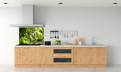 Salpicadero de cocina Vino blanco y fruta