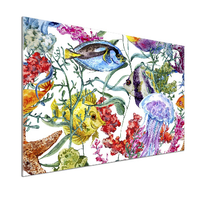 Salpicadero para cocina Arrecife de coral