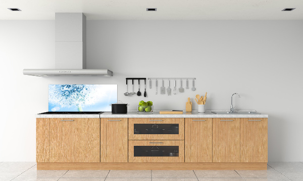 Salpicadero para cocina Diente de león