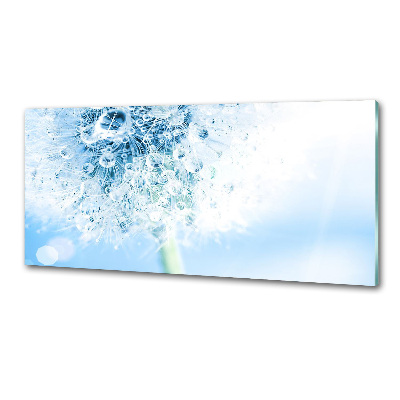 Salpicadero para cocina Diente de león