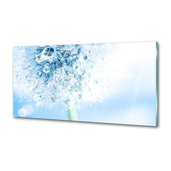 Salpicadero para cocina Diente de león