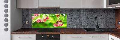 Panel antisalpicaduras Frambuesas en el jardín