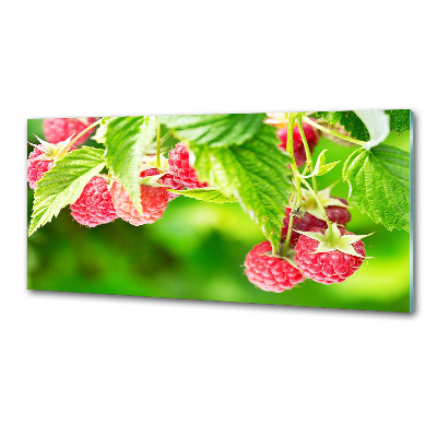 Panel antisalpicaduras Frambuesas en el jardín