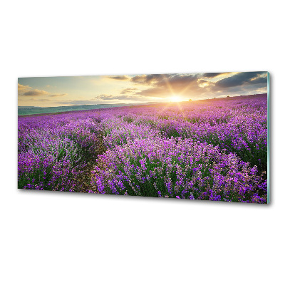 Panel antisalpicaduras campo de lavanda