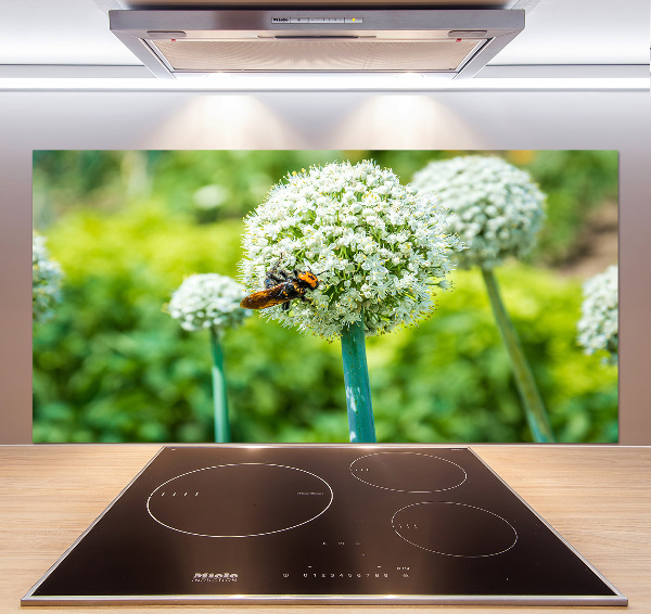 Panel antisalpicaduras Ajo en flor