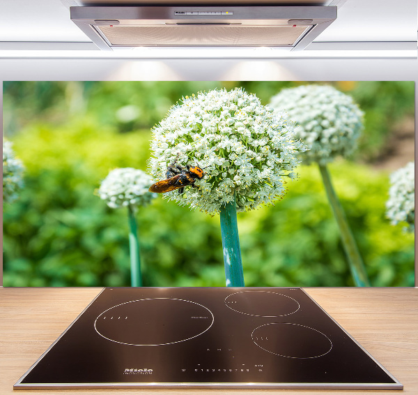 Panel antisalpicaduras Ajo en flor