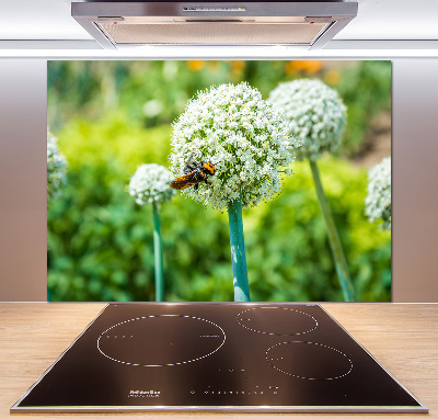 Panel antisalpicaduras Ajo en flor