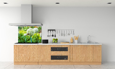 Panel antisalpicaduras Ajo en flor