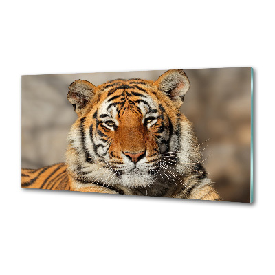 Panel para cocina tigre de Bengala