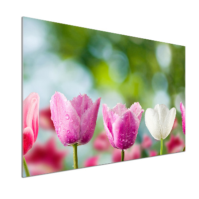 Salpicadero para cocina Tulipanes