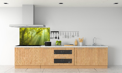 Panel antisalpicaduras Bosque al sol