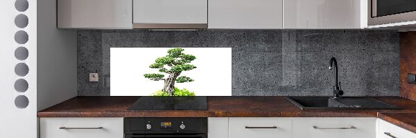 Panel de pared de cocina Árbol bonsái