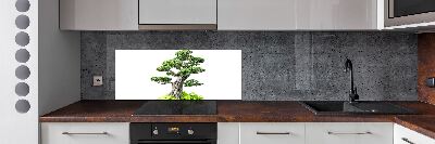Panel de pared de cocina Árbol bonsái