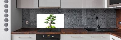 Panel de pared de cocina Árbol bonsái