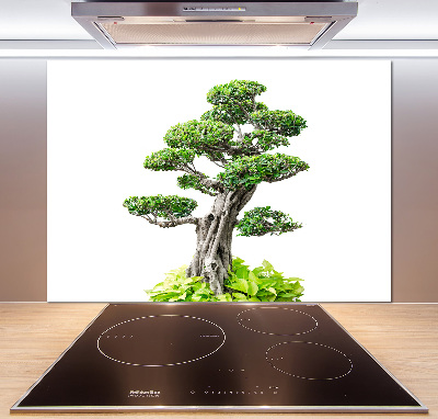 Panel de pared de cocina Árbol bonsái