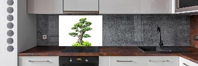 Panel de pared de cocina Árbol bonsái