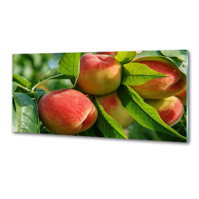 Panel para cocina Melocotones