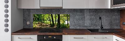 Salpicadero para cocina Camino en el prado