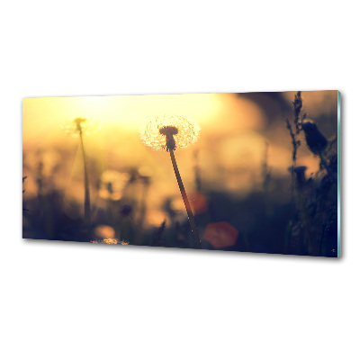 Salpicadero para cocina Diente de león