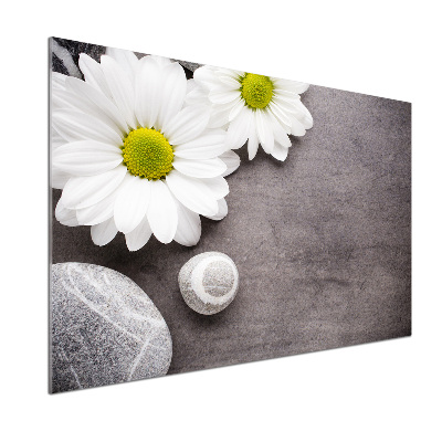 Panel szklany do kuchni Gerbera