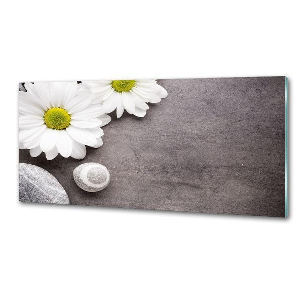 Panel szklany do kuchni Gerbera