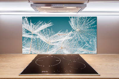 Panel para cocina semillas de diente de león