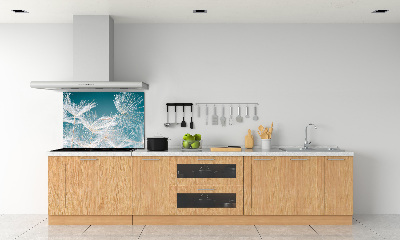 Panel para cocina semillas de diente de león