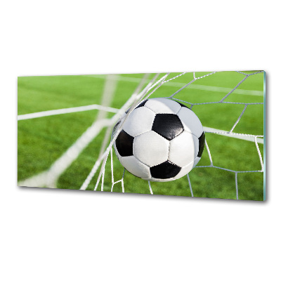 Panel antisalpicaduras El balón está en la portería.