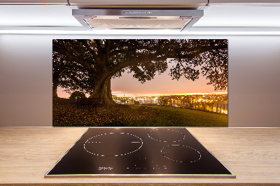 Salpicadero de cocina Árbol viejo