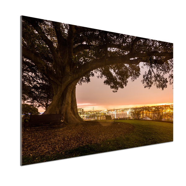 Salpicadero de cocina Árbol viejo