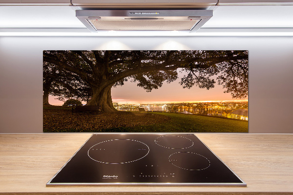 Salpicadero de cocina Árbol viejo