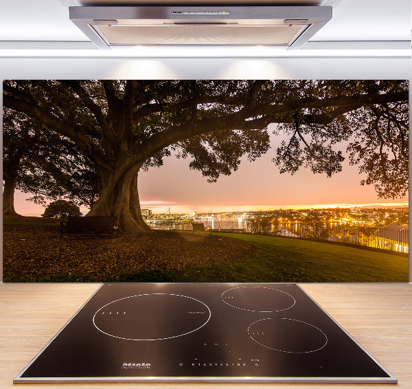 Salpicadero de cocina Árbol viejo