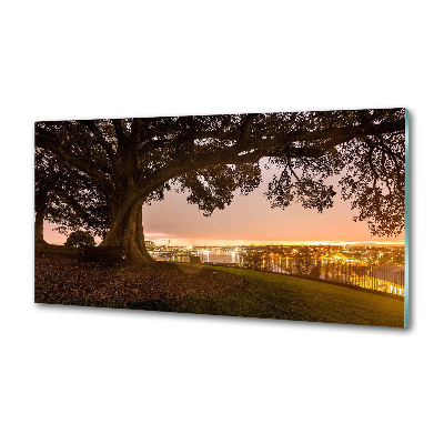 Panel dekor szkło Stare drzewo