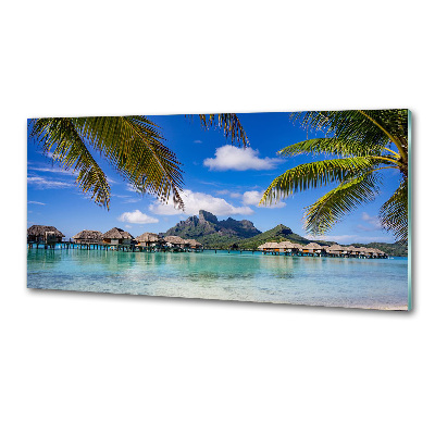 Panel para cocina Palmeras en Bora Bora