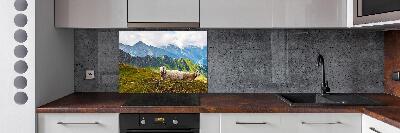 Panel de pared de cocina Ovejas en los Alpes
