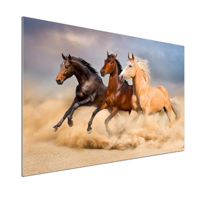 Panel antisalpicaduras Caballos al galope