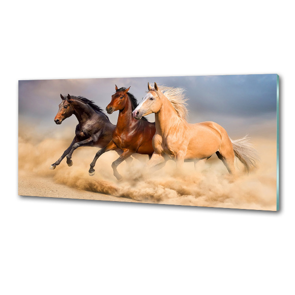 Panel antisalpicaduras Caballos al galope