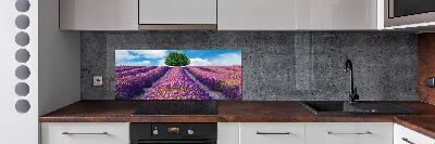 Panel de pared de cocina campo de lavanda