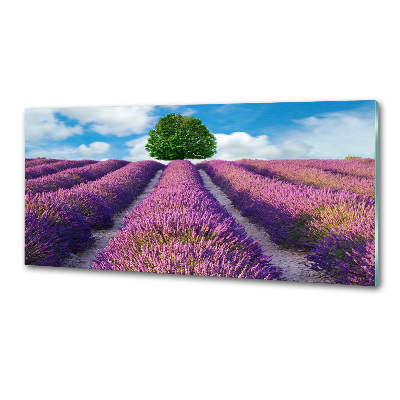 Panel de pared de cocina campo de lavanda